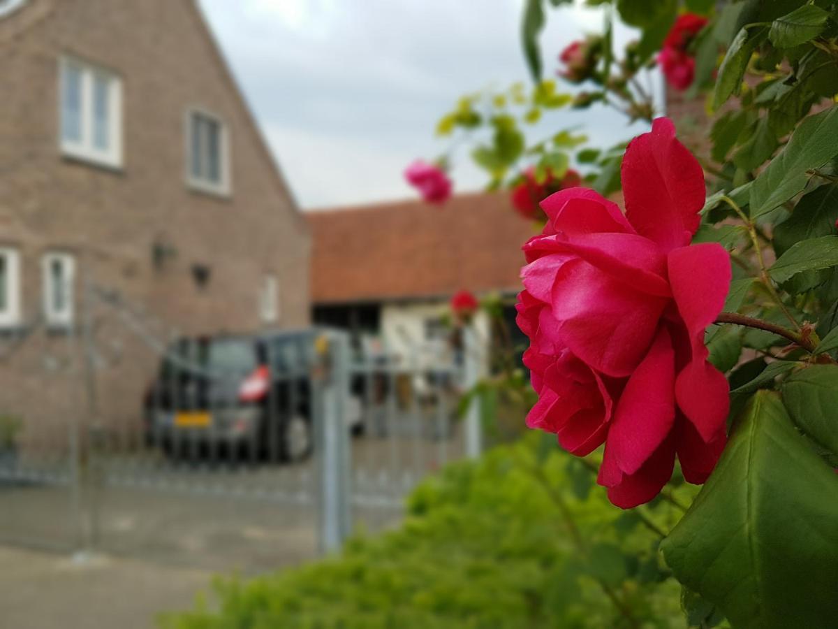 Bed and Breakfast De Boerebeemd Lieshout Экстерьер фото