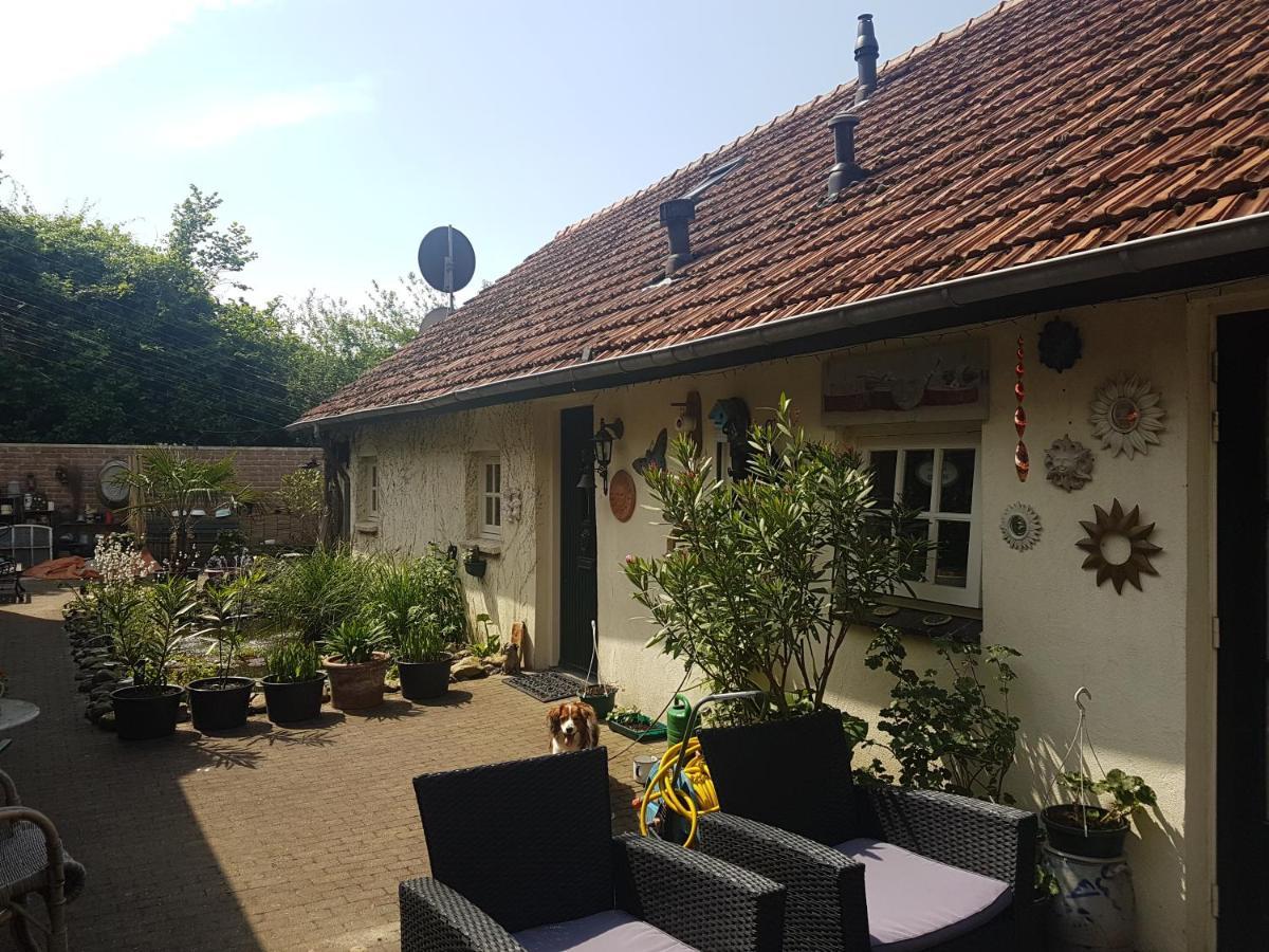Bed and Breakfast De Boerebeemd Lieshout Экстерьер фото